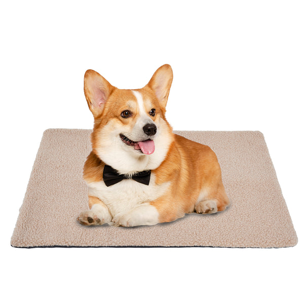 Corgi resting on a rectangular beige plush pet pad