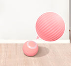 Pink ball on a wooden floor, with a close-up of its ridged shell