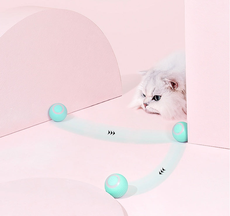 Cat watching a ball roll across the floor