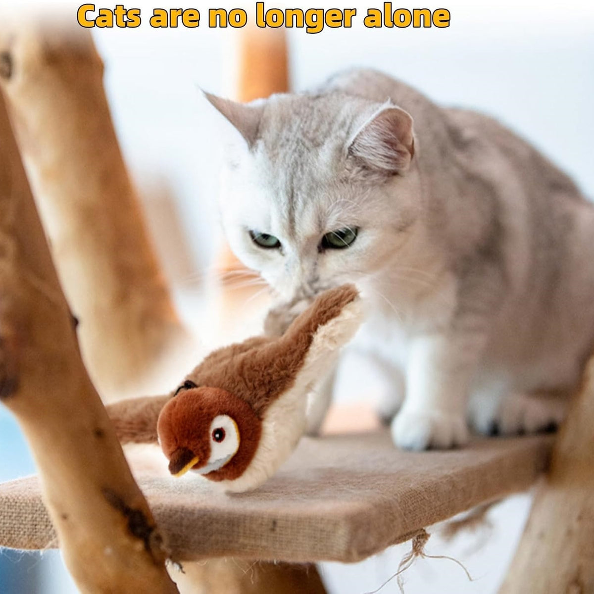 Cat holding a brown plush bird toy with a feather tail