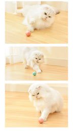 Cat chasing the ball on a wooden floor