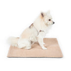 Small white dog sitting on a beige self-warming plush pet pad
