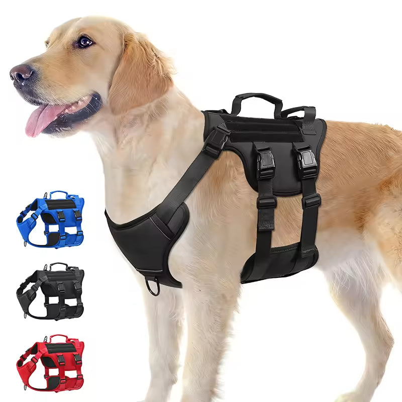 One harness in your selected color and size